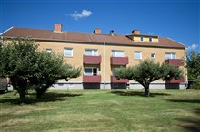  Kaptensg  M