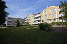  Mv  M