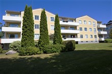  Mv  M