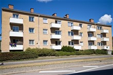  Storg  M